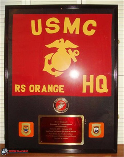 Super Sized Shadow Box with Guidon - Click Image to Close