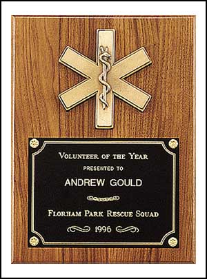 9 X 12 Emergency Medical Award - Click Image to Close