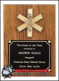 9 X 12 Emergency Medical Award