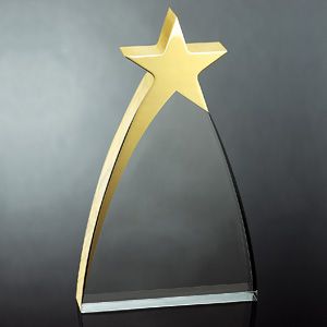 OCAA936L - Large Gold Star Award